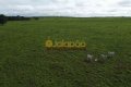 FAZENDA À VENDA NO TOCANTINS