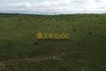 FAZENDA À VENDA NO TOCANTINS