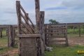 FAZENDA À VENDA NO TOCANTINS