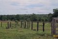FAZENDA À VENDA NO TOCANTINS