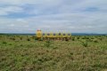 FAZENDA À VENDA NO TOCANTINS
