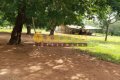 FAZENDA COM DUPLA APTIDÃO NO TOCANTINS