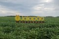 FAZENDA PARA LAVOURA NO TOCANTINS