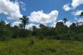 FAZENDA NO TOCANTINS