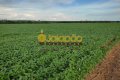 FAZENDA PARA LAVOURA NO TOCANTINS