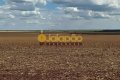 FAZENDA PARA LAVOURA NO TOCANTINS