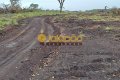 FAZENDA PARA LAVOURA NO TOCANTINS