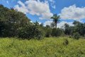 FAZENDA NO TOCANTINS