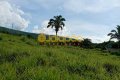 SÍTIO À VENDA NO TOCANTINS