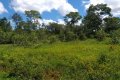 FAZENDA NO TOCANTINS