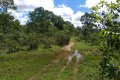 FAZENDA NO TOCANTINS