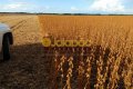 FAZENDA PARA LAVOURA NO TOCANTINS