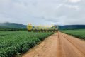 FAZENDA PARA LAVOURA NO TOCANTINS