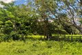 FAZENDA NO TOCANTINS