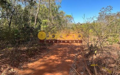 FAZENDA PARA  LAVOURA NO MARANHÃO