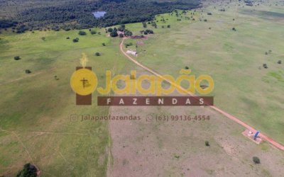 FAZENDA A VENDA NO TOCANTINS