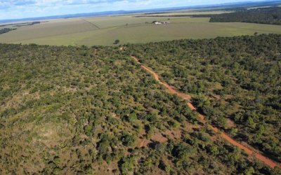 FAZENDA EXTRA À VENDA NO TOCANTINS