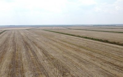 FAZENDA COM 3 SAFRAS ANUAIS À VENDA NO TOCANTINS 