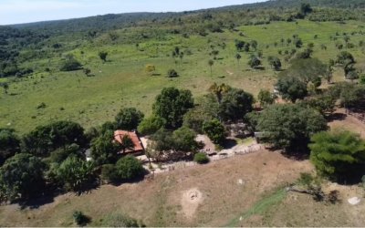 FAZENDA PARA PECUÁRIA NO TOCANTINS