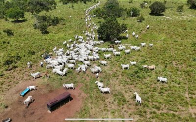 FAZENDA DUPLA APTIDÃO, COM ÓTIMA INFRAESTRUTURA E ACESSO ESTRATÉGICO NO TOCANTINS