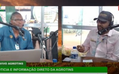 Fazenda no Tocantins 