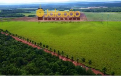 FAZENDA DE LAVOURA COM ESTRUTURA COMPLETA ÀS MARGENS DA BR 153