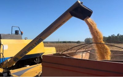 FAZENDA NO ESTADO DO PARÁ PLANTANDO SOJA E MILHO