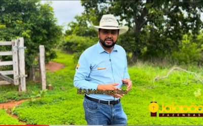 Visita Técnica de Vistoria à Fazenda de Lavoura