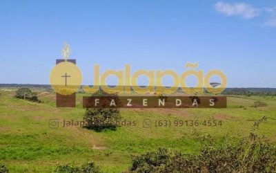 FAZENDA NO TOCANTINS