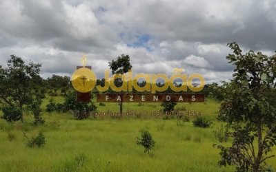 FAZENDA NO TOCANTINS