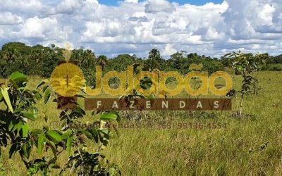 FAZENDA NO TOCANTINS