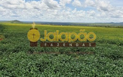 FAZENDA NO TOCANTINS