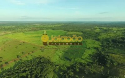 FAZENDA NO TOCANTINS