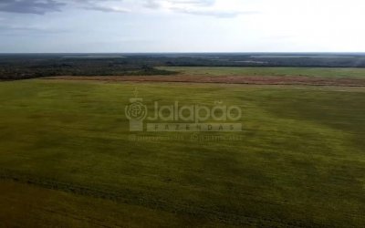 FAZENDA NO TOCANTINS