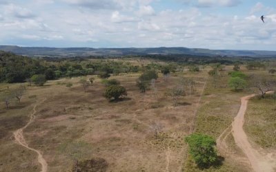 FAZENDA NO TOCANTINS