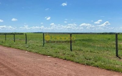 FAZENDA NO TOCANTINS