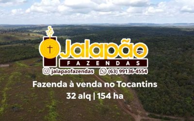 FAZENDA NO TOCANTINS 