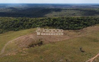 FAZENDA NO TOCANTINS 