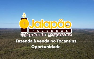 FAZENDA NO TOCANTINS 