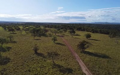 FAZENDA NO TOCANTINS