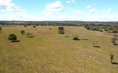 FAZENDA NO TOCANTINS