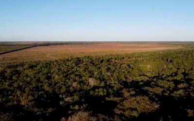 FAZENDA NO TOCANTINS