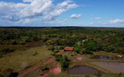 FAZENDA NO TOCANTINS