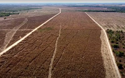 FAZENDA NO  TOCANTINS