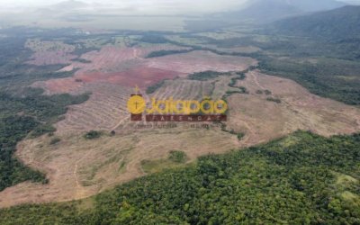 FAZENDA  NO TOCANTINS