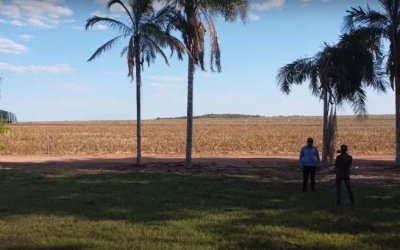 FAZENDA NO TOCANTINS 