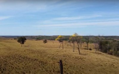 FAZENDA NO TOCANTINS