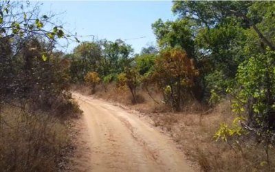 FAZENDA NO TOCANTINS