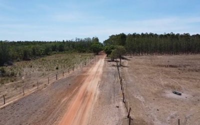 FAZENDA PARA ARRENDAMENTO NO TOCANTINS