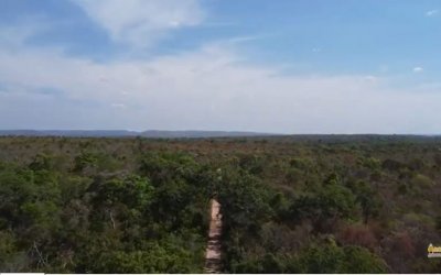 FAZENDA NO TOCANTINS